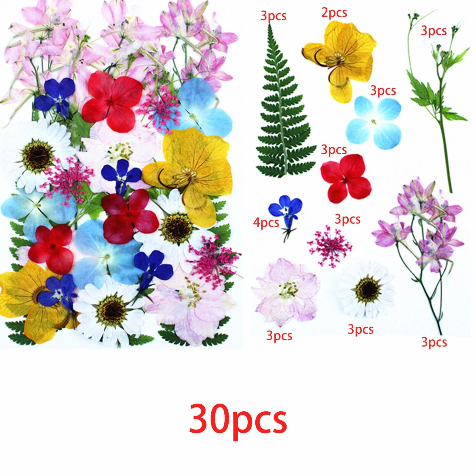 Cayway 4 sztuki suszonych kwiatów do żywicy, naturalne prasowane suszone kwiaty, suszone kwiaty naturalne prasowane kwiaty do świec DIY biżuteria żywica udział, styl C