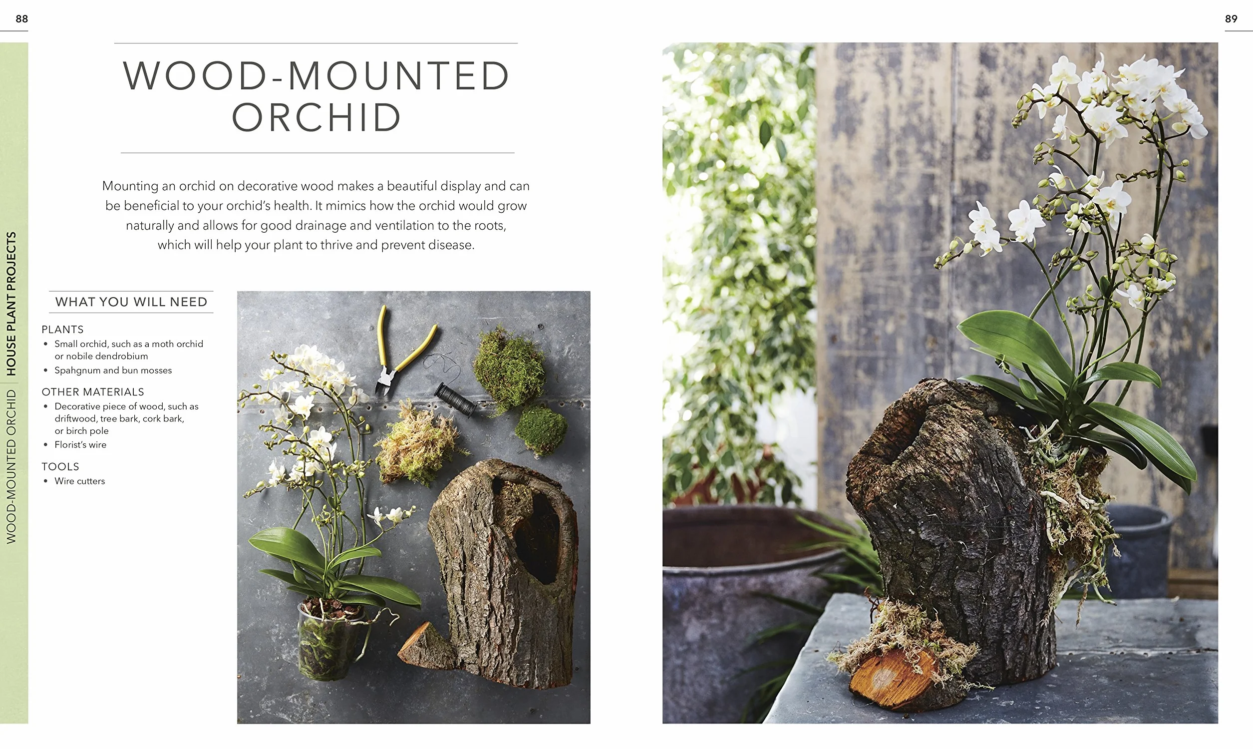 RHS Practical House Plant Book: Choose The Best, Display Creatively, Nurture and Care, 175 Plant Profiles