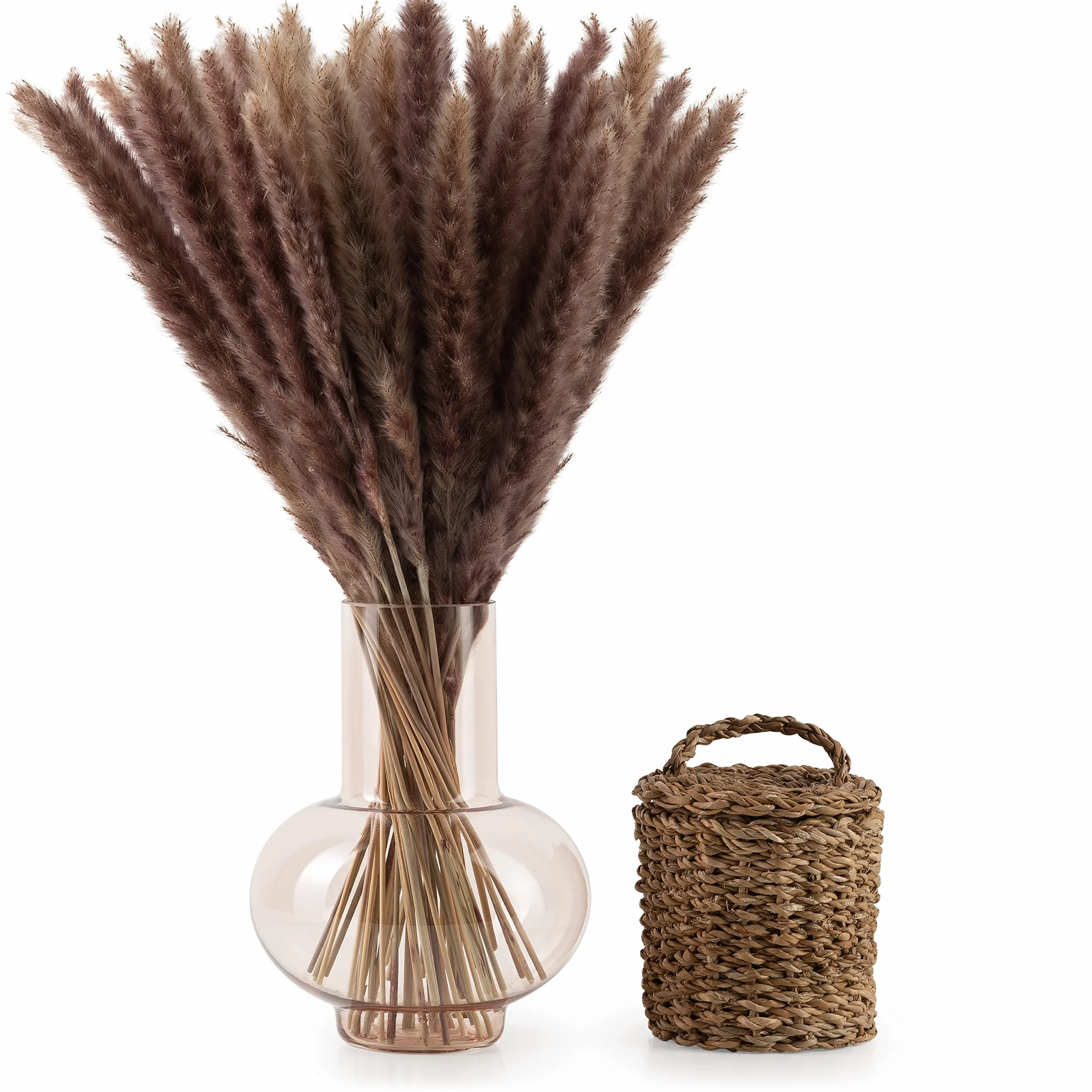 Blumtal Suszone kwiaty trawa pampasowa - 30 szt., 58-60 cm, do bukietów lub dekoracji, pampas Boho styl w kolorze naturalnym brązowym