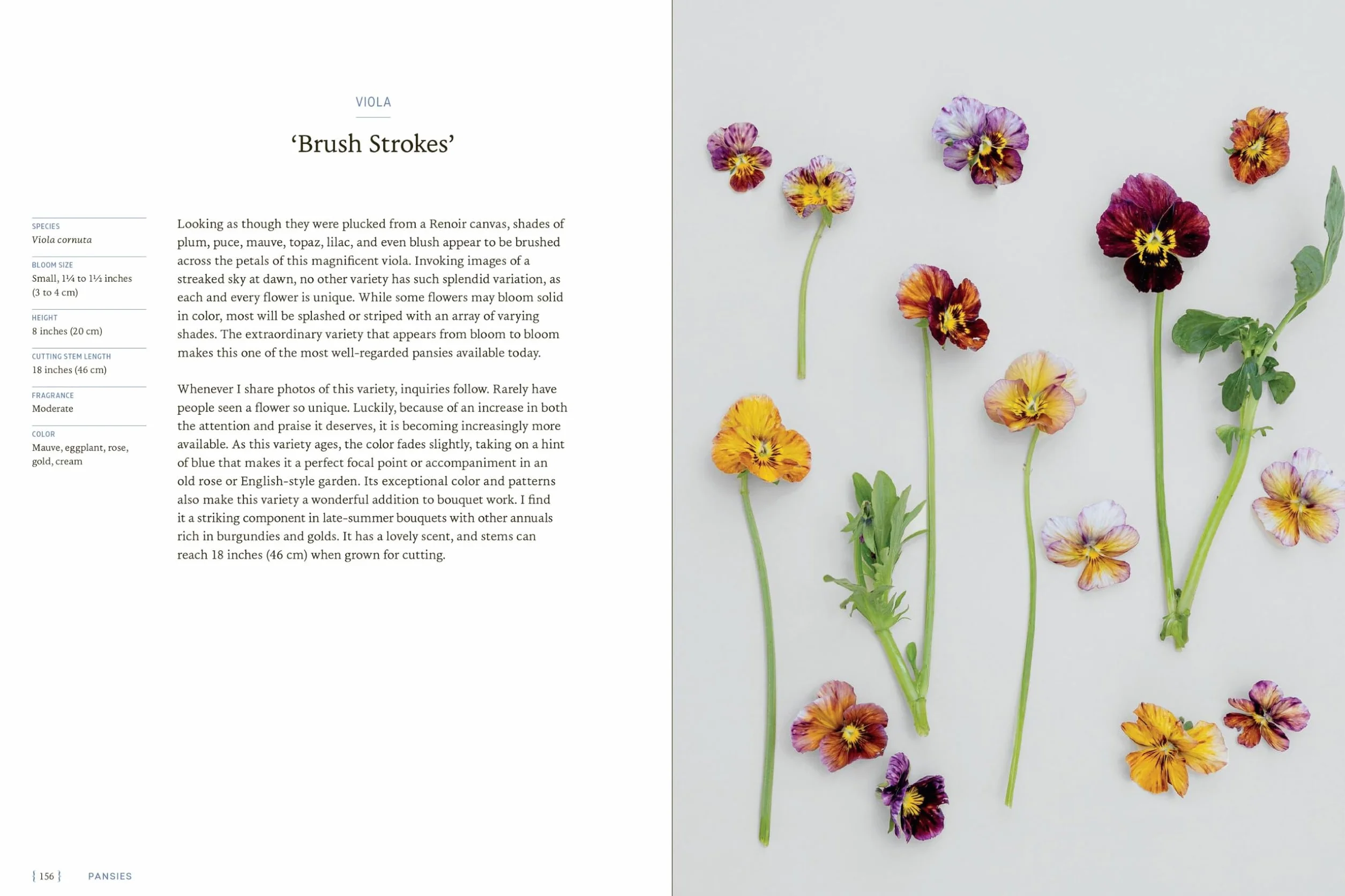 Pansies: How to Grow, Reimagine, and Create Beauty with Pansies and Violas