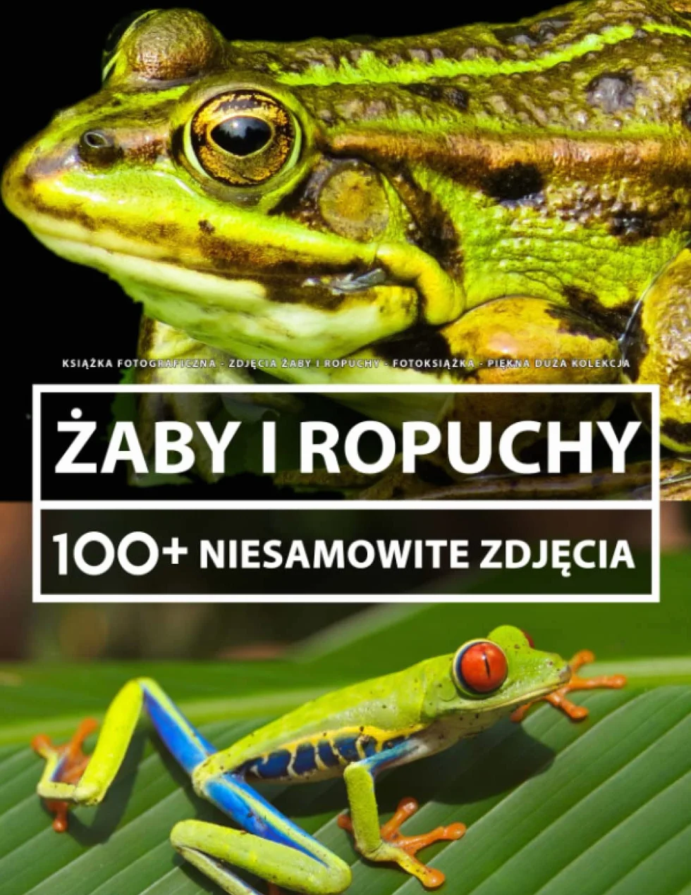 Książka Fotograficzna - Zdjęcia Żaby I Ropuchy - Piękna Duża Kolekcja: 100+ Niesamowitych Obrazów - Dla Dzieci I Dorosłych