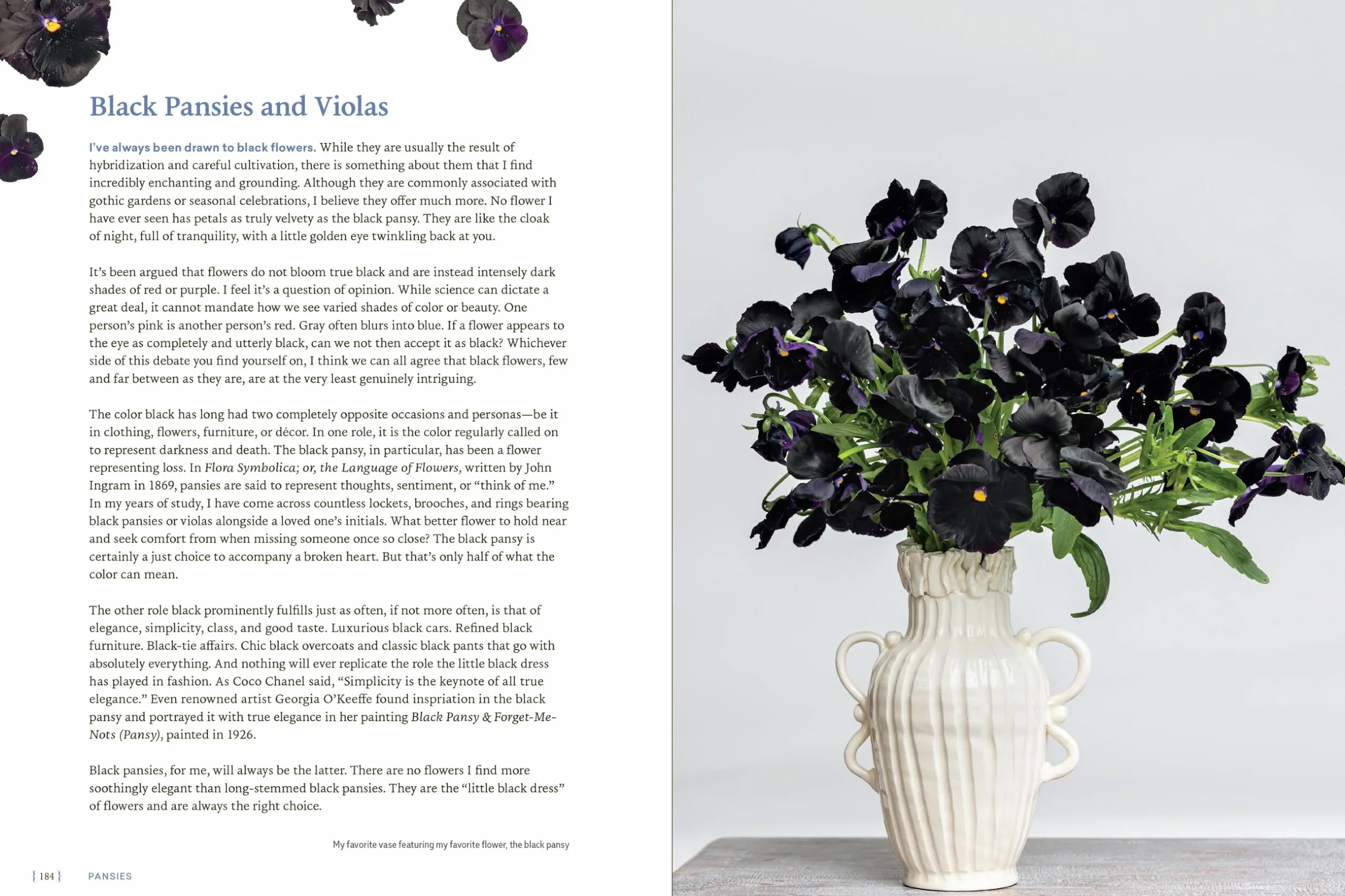 Pansies: How to Grow, Reimagine, and Create Beauty with Pansies and Violas