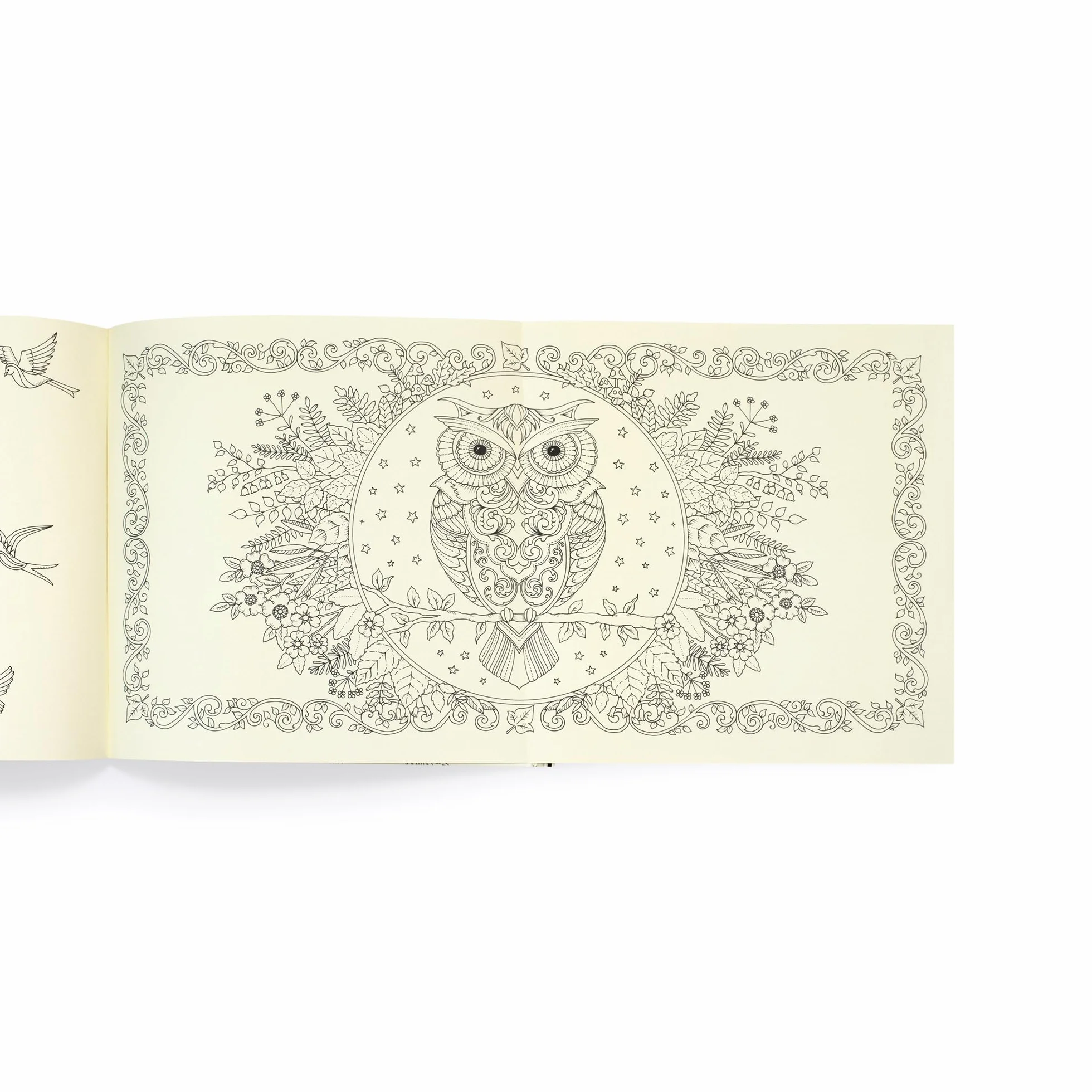 Enchanted Forest /anglais: 10th Anniversary Limited Special Edition
