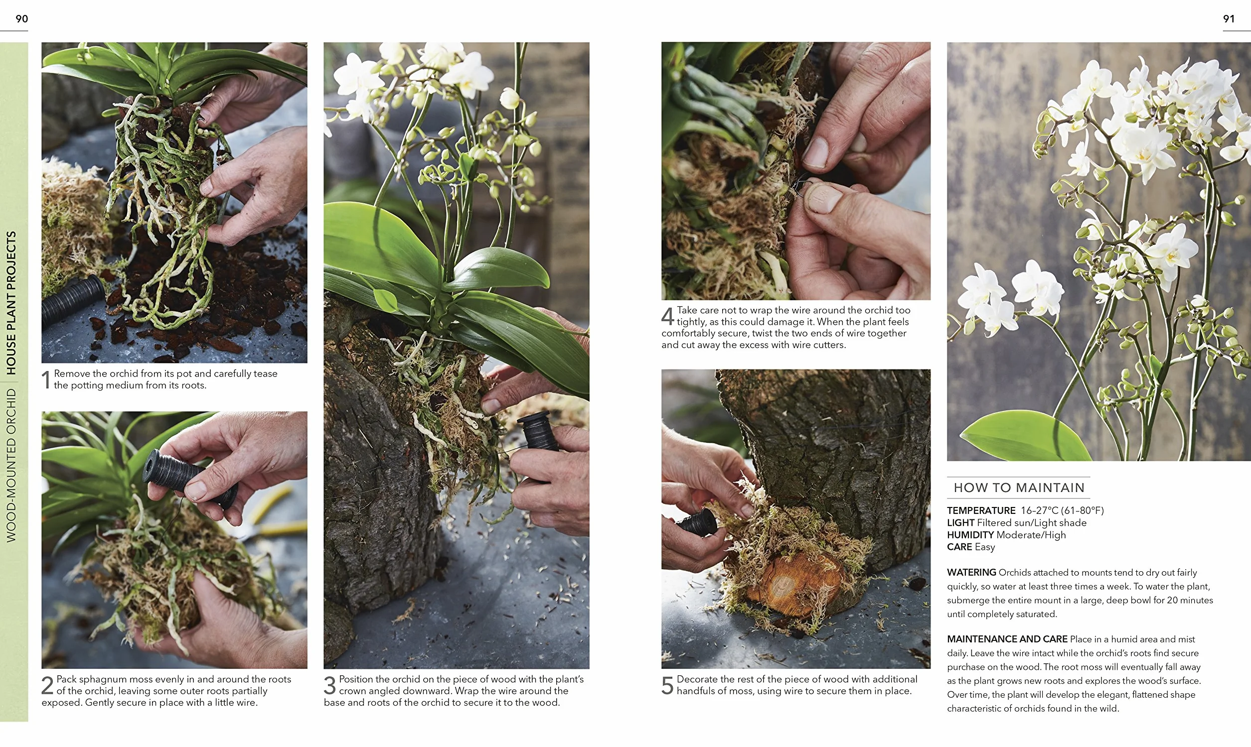 RHS Practical House Plant Book: Choose The Best, Display Creatively, Nurture and Care, 175 Plant Profiles