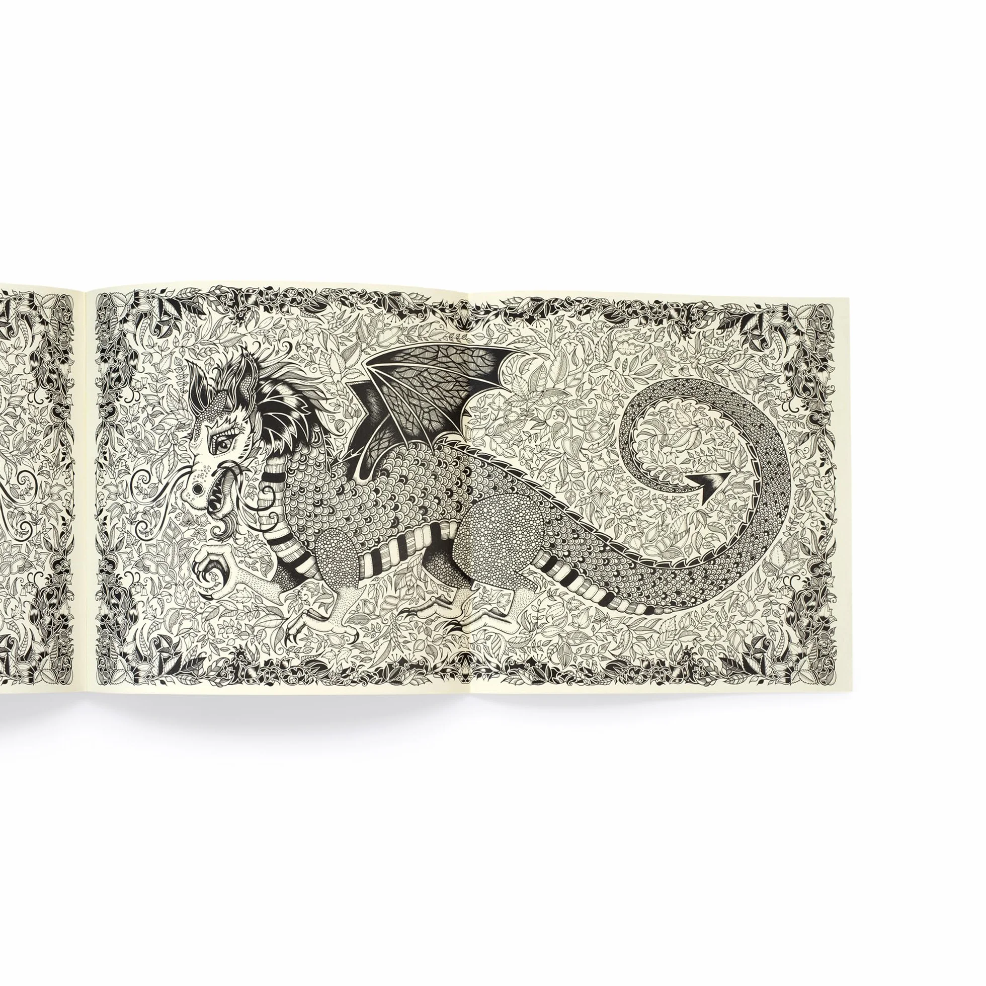 Enchanted Forest /anglais: 10th Anniversary Limited Special Edition