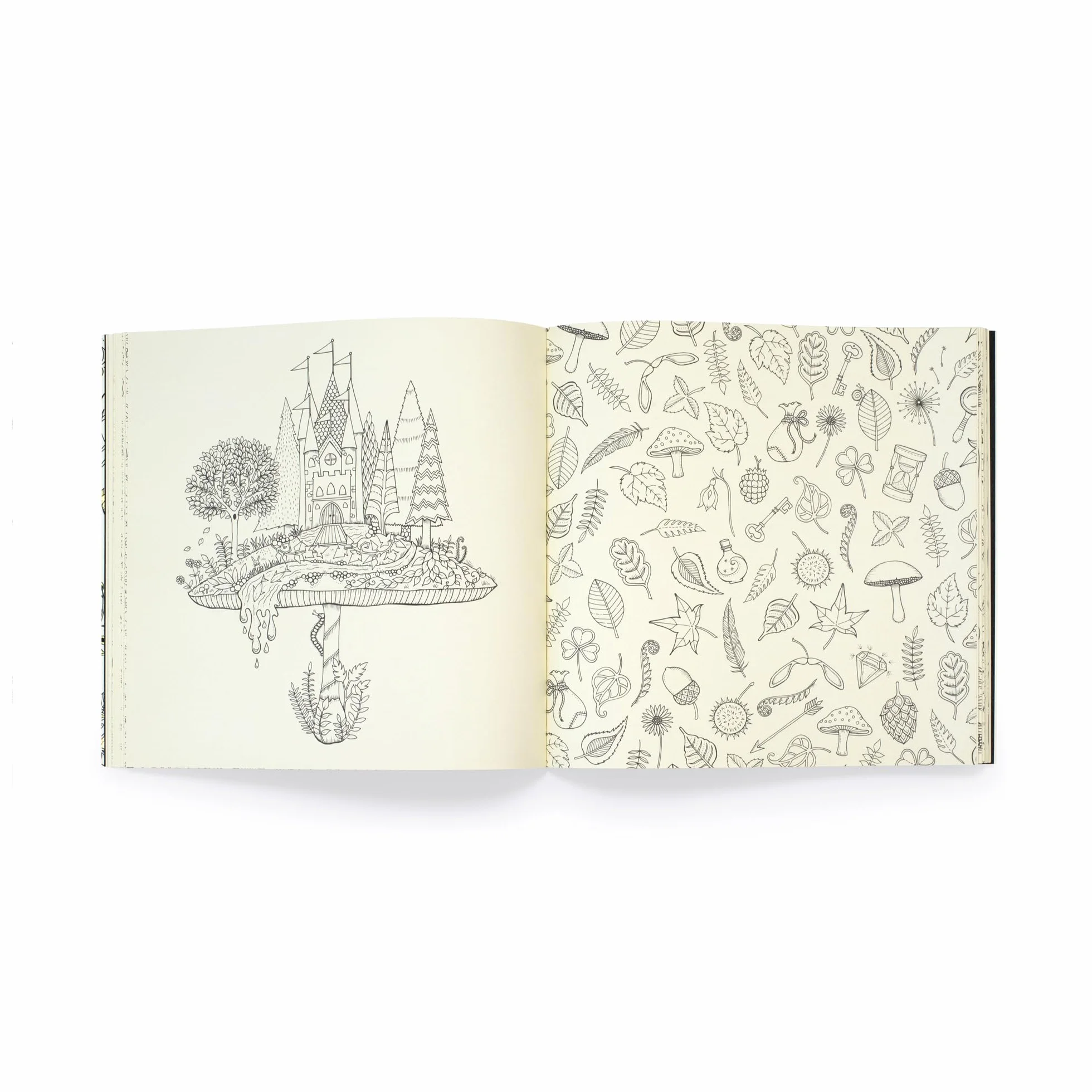 Enchanted Forest /anglais: 10th Anniversary Limited Special Edition