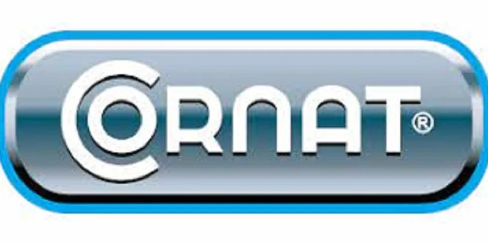 Cornat Drążek ścienny "Cervia" – długość 90 cm – różne mocowania ścienne – z suwakiem przyciskowym – chromowany/drążek prysznicowy/drążek prysznicowy/uchwyt prysznicowy / TECB3442