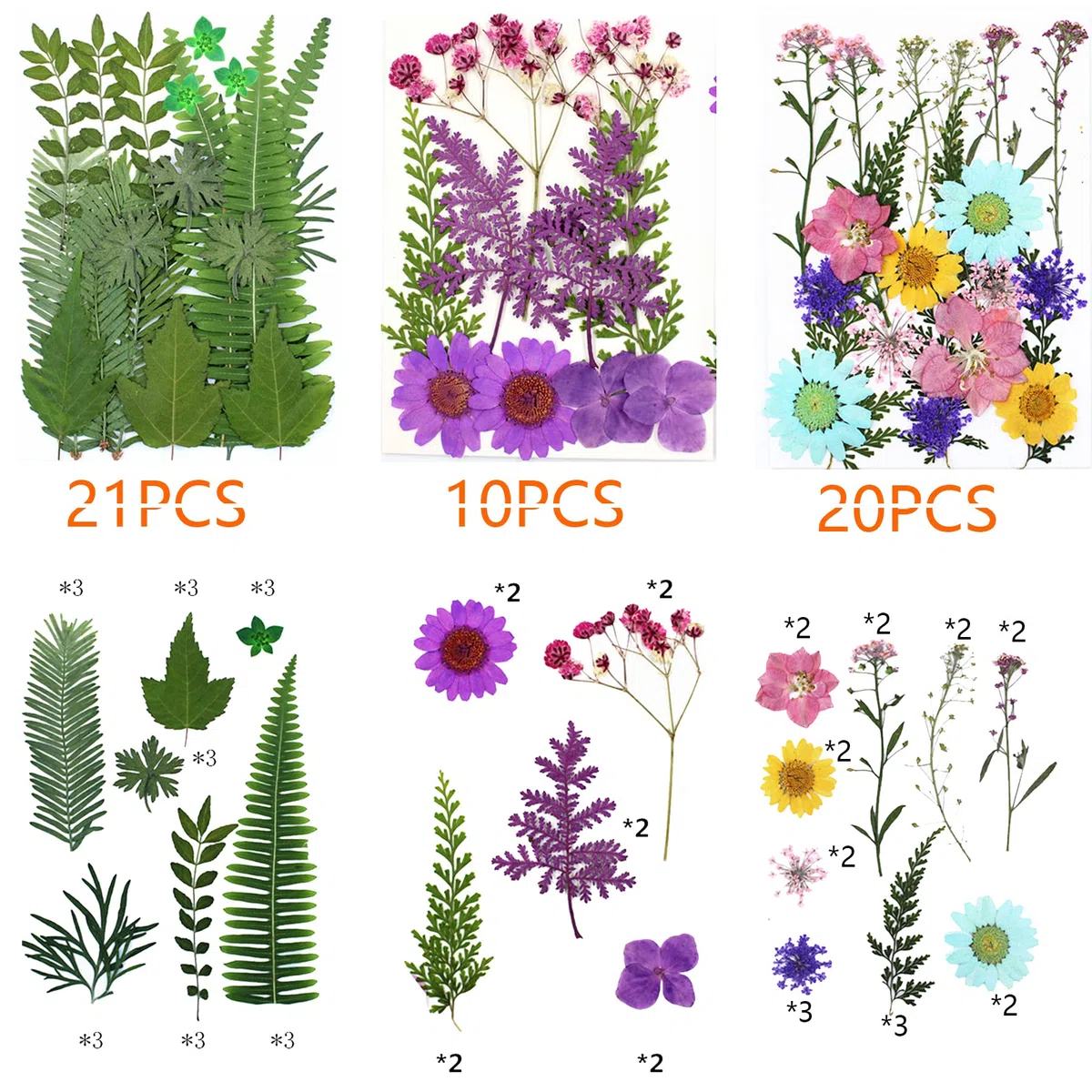 Cayway 8-pak suszonych kwiatów do form żywicznych, naturalne prasowane kwiaty i liście z naklejką motylkową do scrapbookingu, DIY