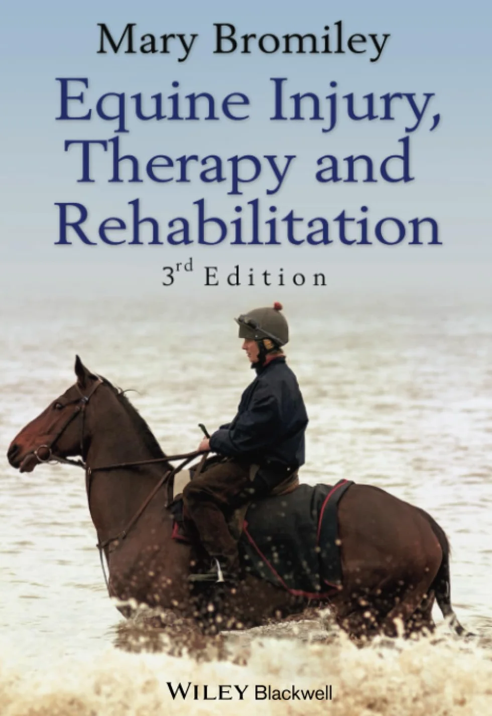 Equine Injury, Therapy and Rehabilitation