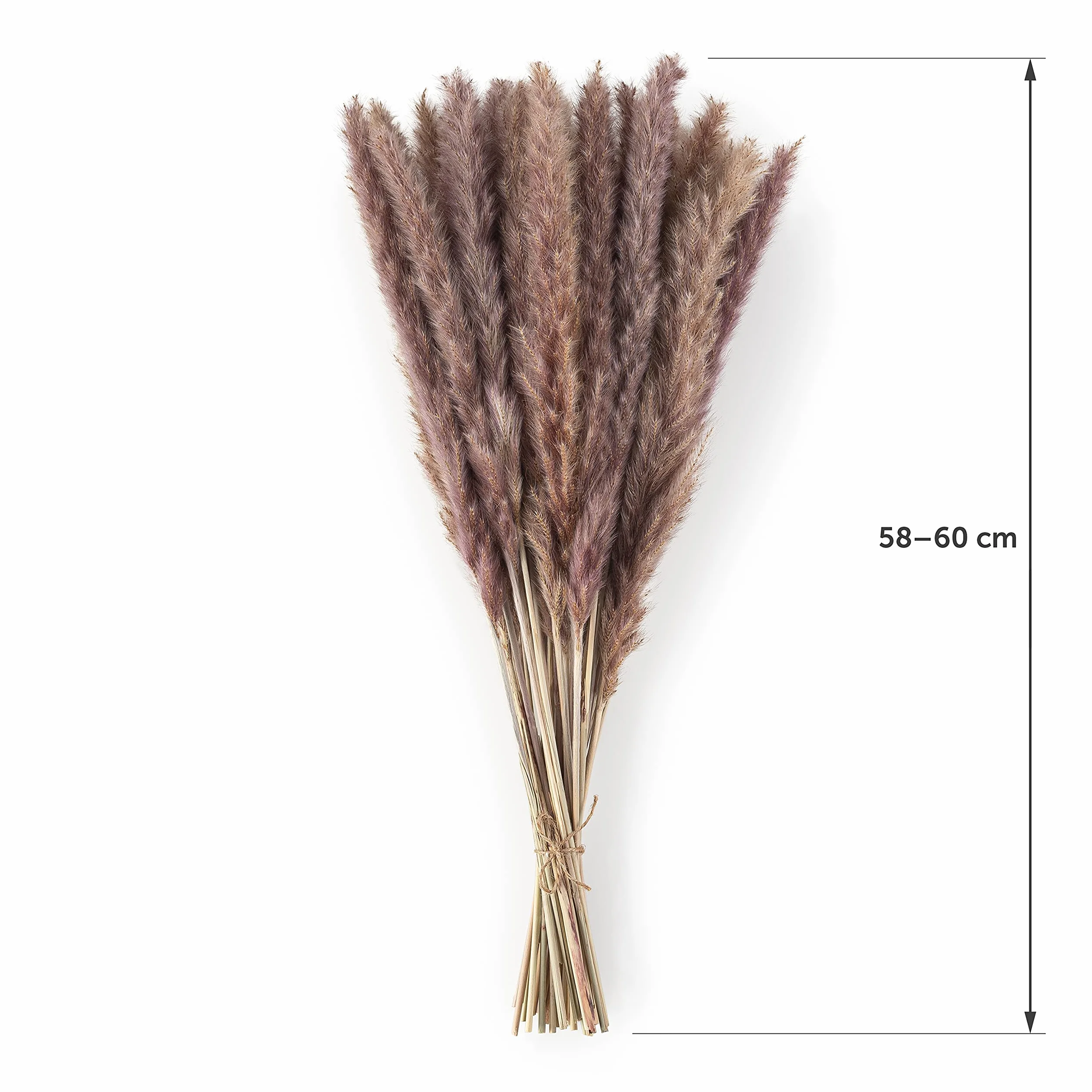 Blumtal Suszone kwiaty trawa pampasowa - 30 szt., 58-60 cm, do bukietów lub dekoracji, pampas Boho styl w kolorze naturalnym brązowym