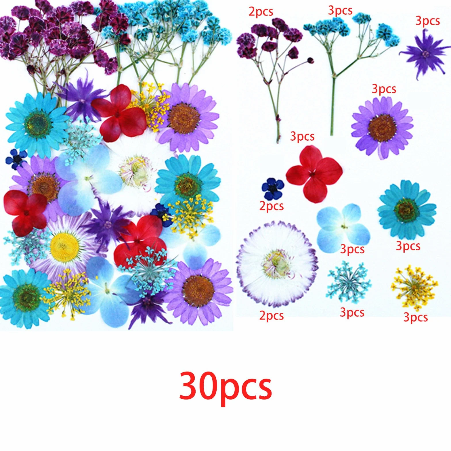 Cayway 4 sztuki suszonych kwiatów do żywicy, naturalne prasowane suszone kwiaty, suszone kwiaty naturalne prasowane kwiaty do świec DIY biżuteria żywica udział, styl C