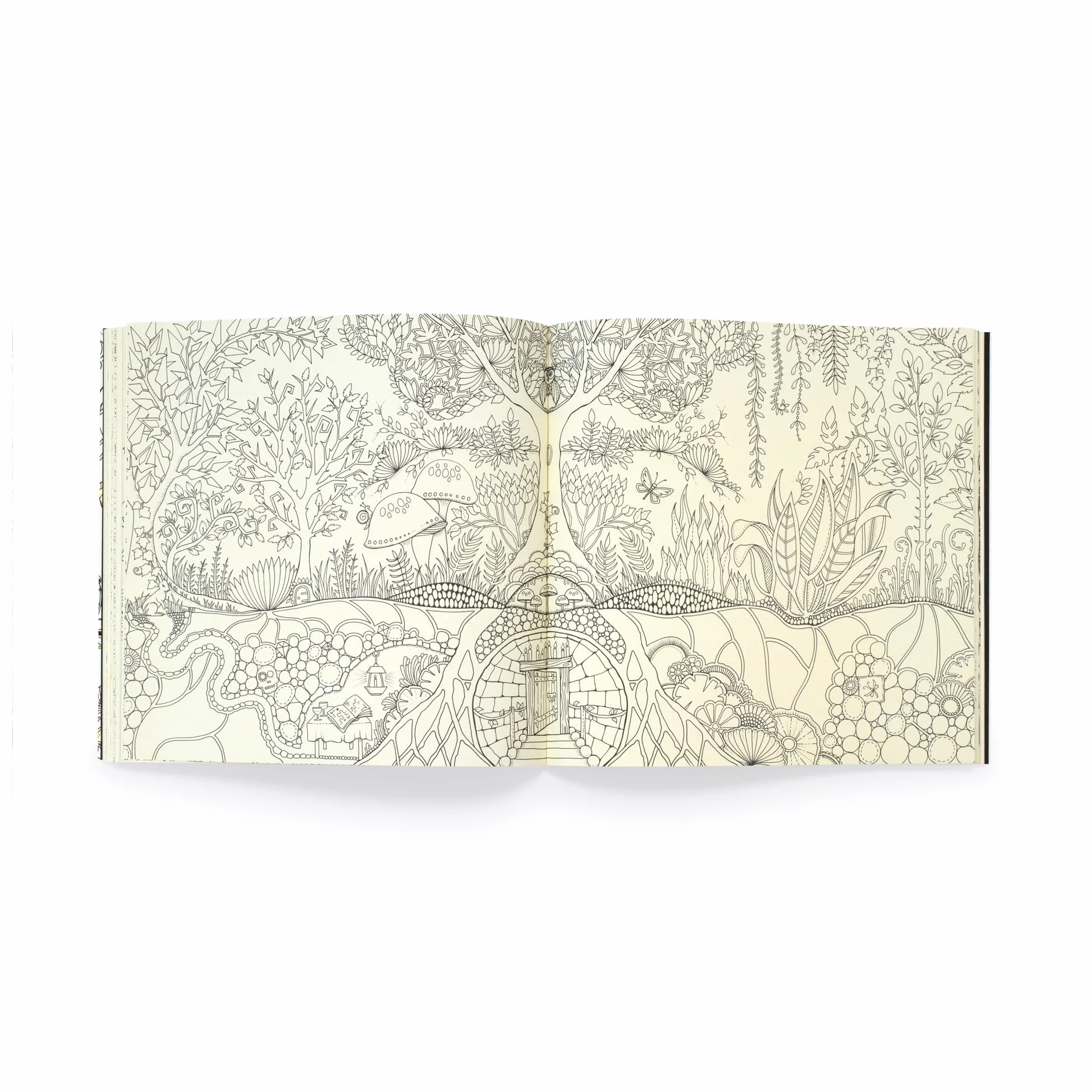 Enchanted Forest /anglais: 10th Anniversary Limited Special Edition