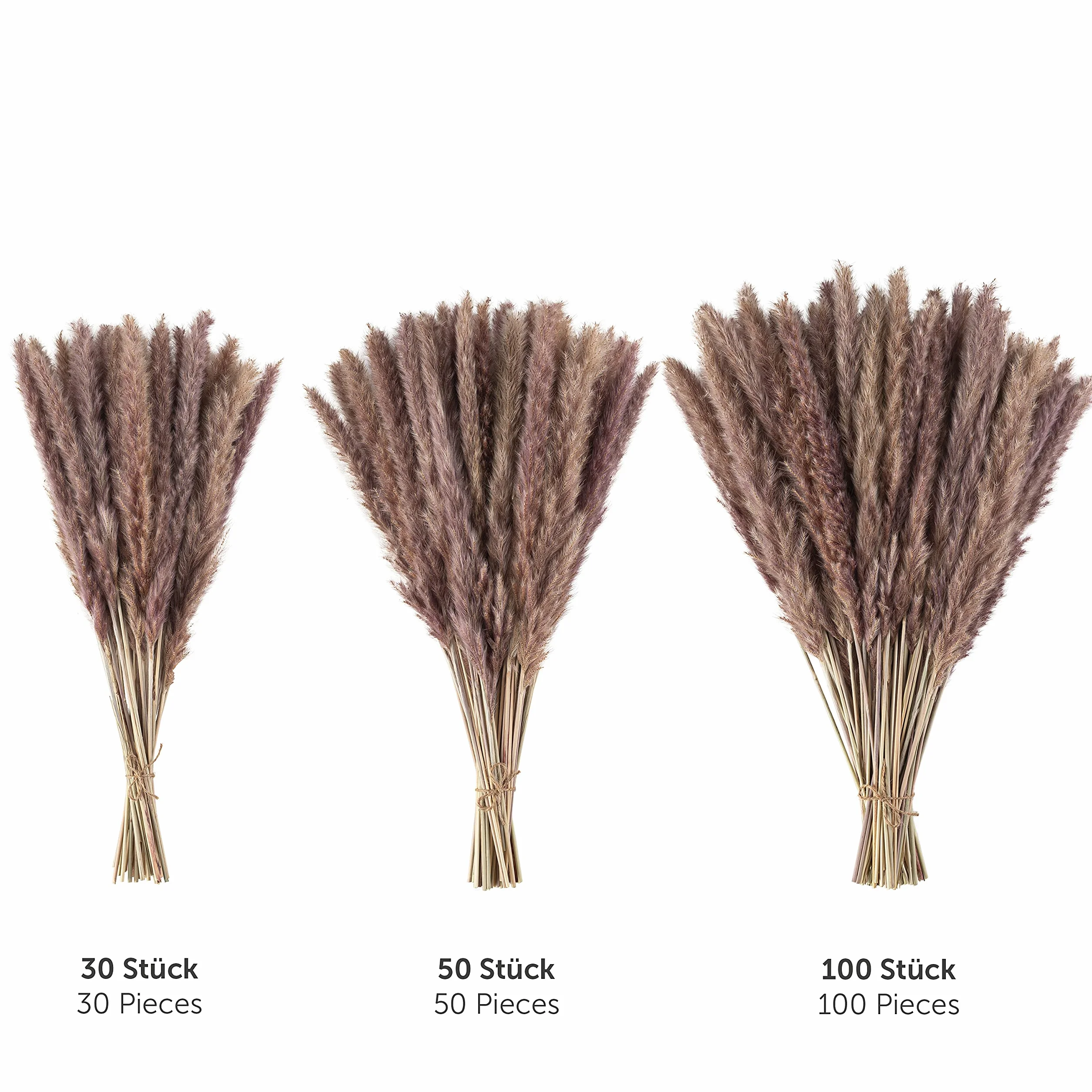 Blumtal Suszone kwiaty trawa pampasowa - 30 szt., 58-60 cm, do bukietów lub dekoracji, pampas Boho styl w kolorze naturalnym brązowym