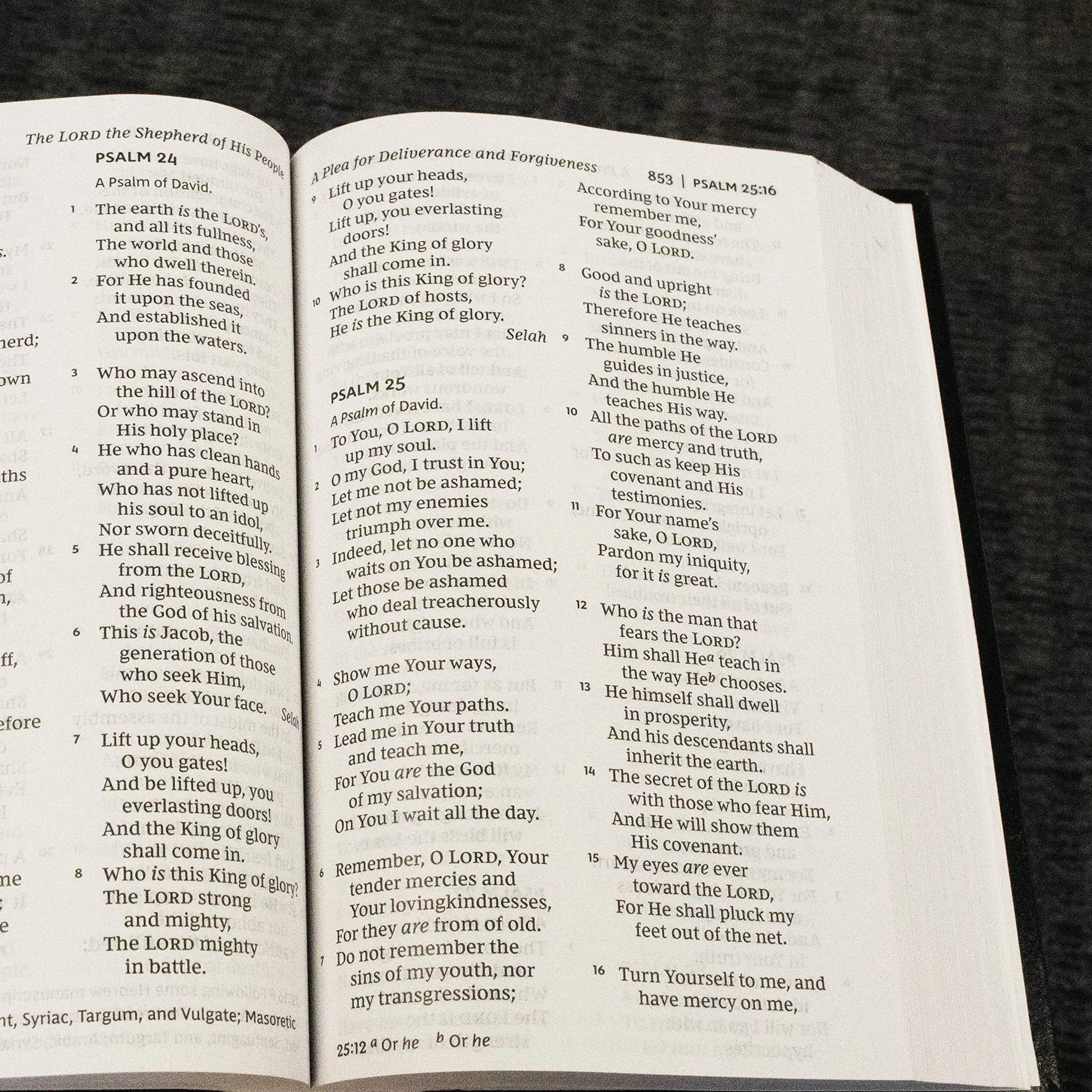 NKJV, Pew Bible, Large Print, Hardcover, Black, Red Letter Edition: Holy Bible, New King James Version