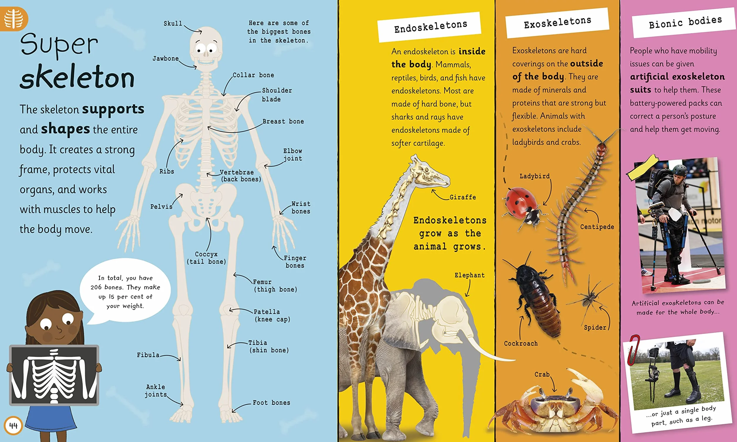 My Very Important Human Body Encyclopedia: For Little Learners Who Want to Know About Their Bodies