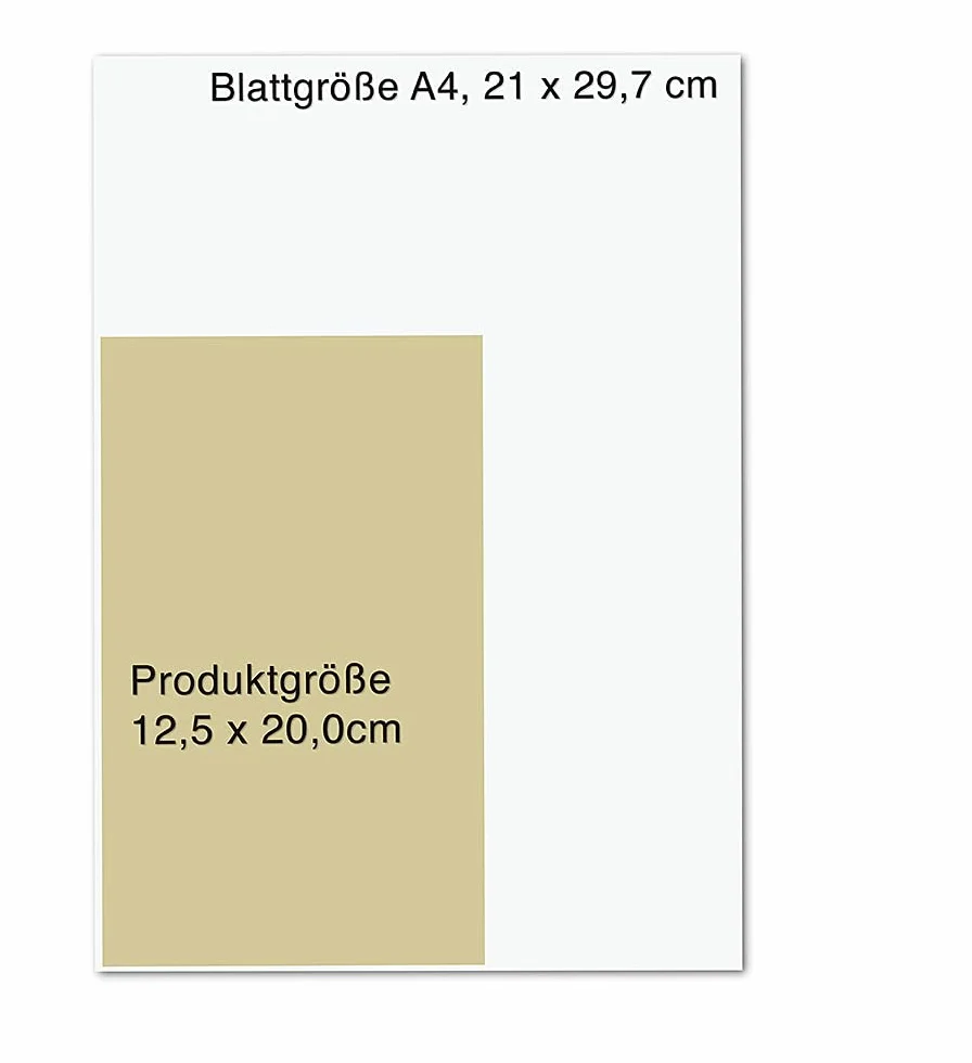 Blase gut - alles gut: Ihr Navigator für das Herz im Unterleib - bei Entzündungen, Inkontinenz, Harndrang & Co.