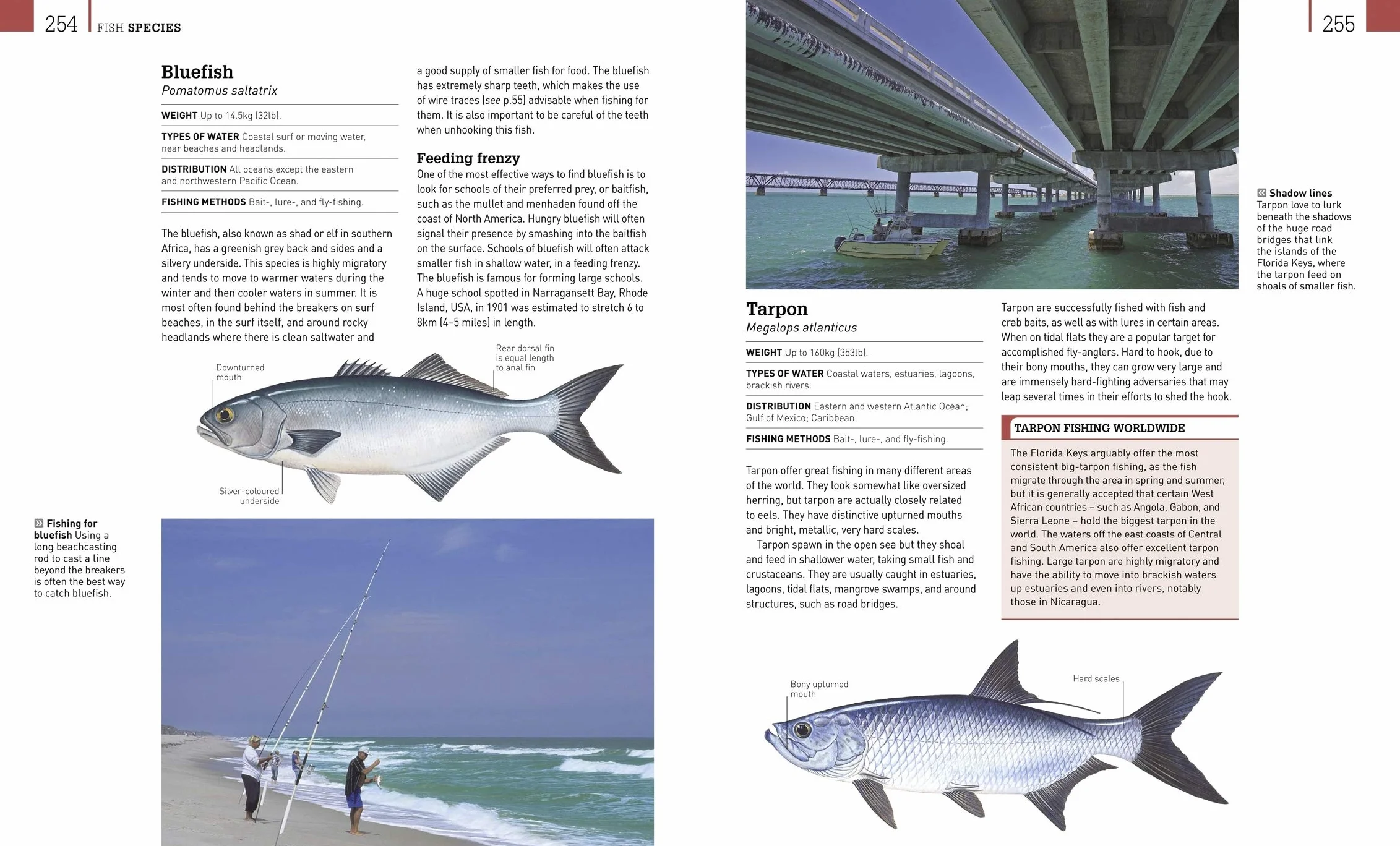 The Complete Fishing Manual: Tackle * Baits & Lures * Species * Techniques * Where to Fish