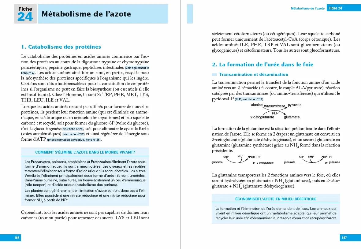 L'essentiel de Biochimie - Licence 1 / 2 / PASS - 2e éd.