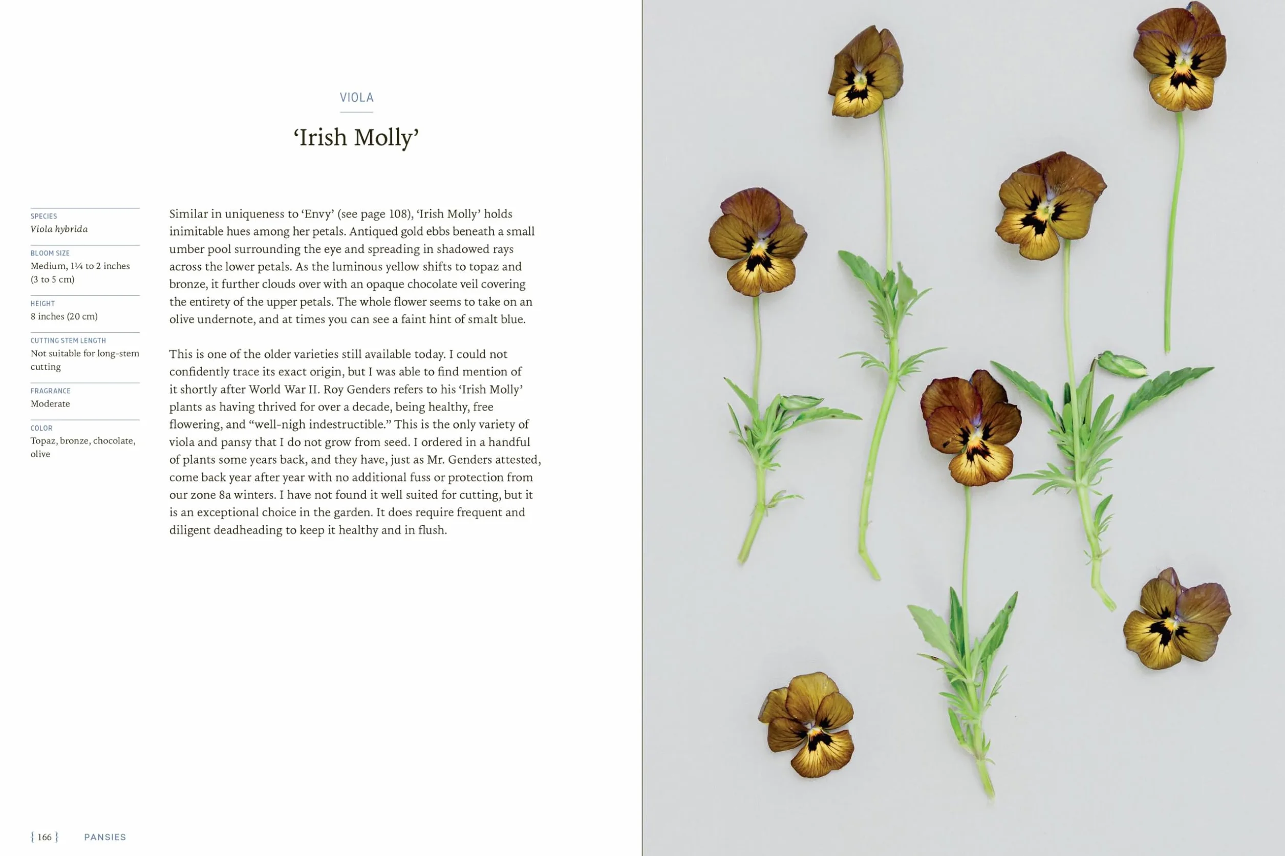 Pansies: How to Grow, Reimagine, and Create Beauty with Pansies and Violas