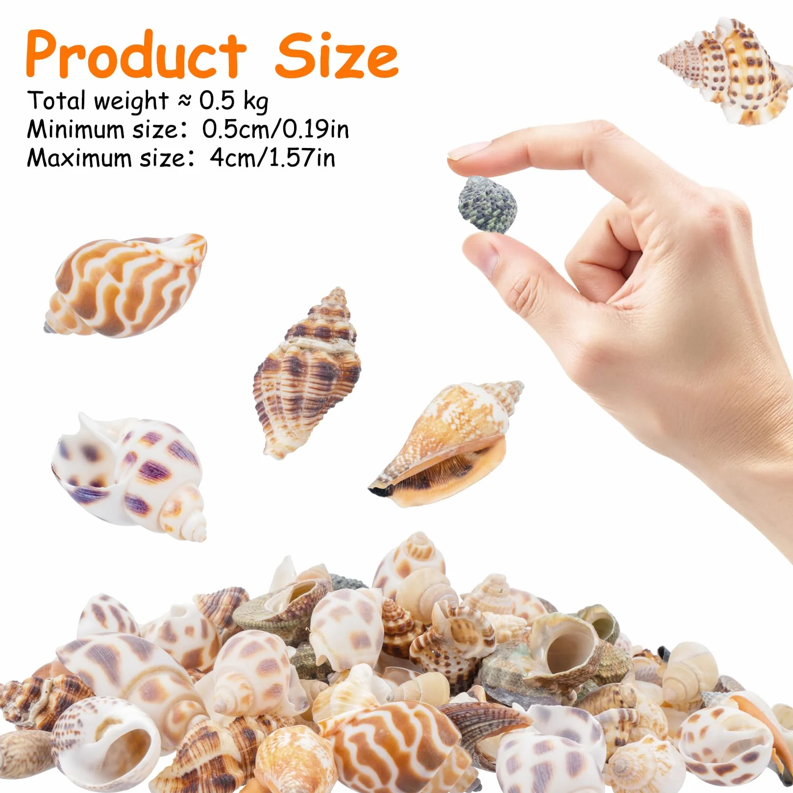 0,5 kg, muszle do majsterkowania, 0,5-4 cm, muszle morskie, mieszane muszle, do dekoracji, morskiej dekoracji, motyw piasku, na imprezę, do akwarium, wypełniacze, wesele, ryby, zbiorniki