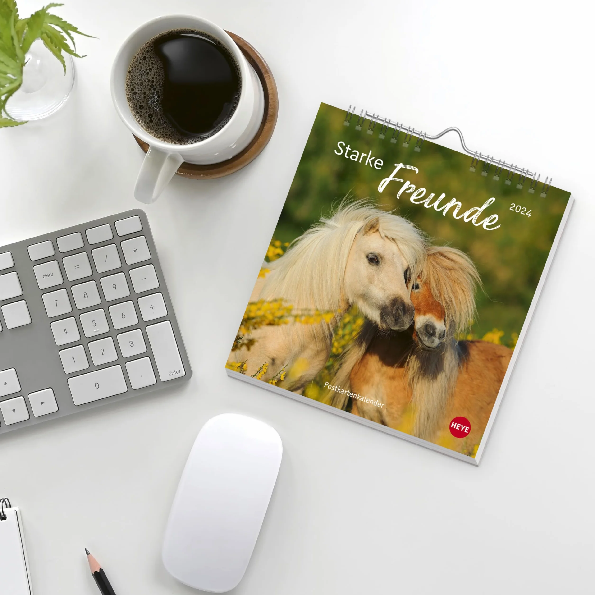 Pferde - Starke Freunde Postkartenkalender 2024. Pferdefotografin Sabine Stuewer setzt die edlen Tiere in einem kleinen Kalender perfekt in Szene. Hochwertiger Postkarten-Fotokalender.: Starke Freunde