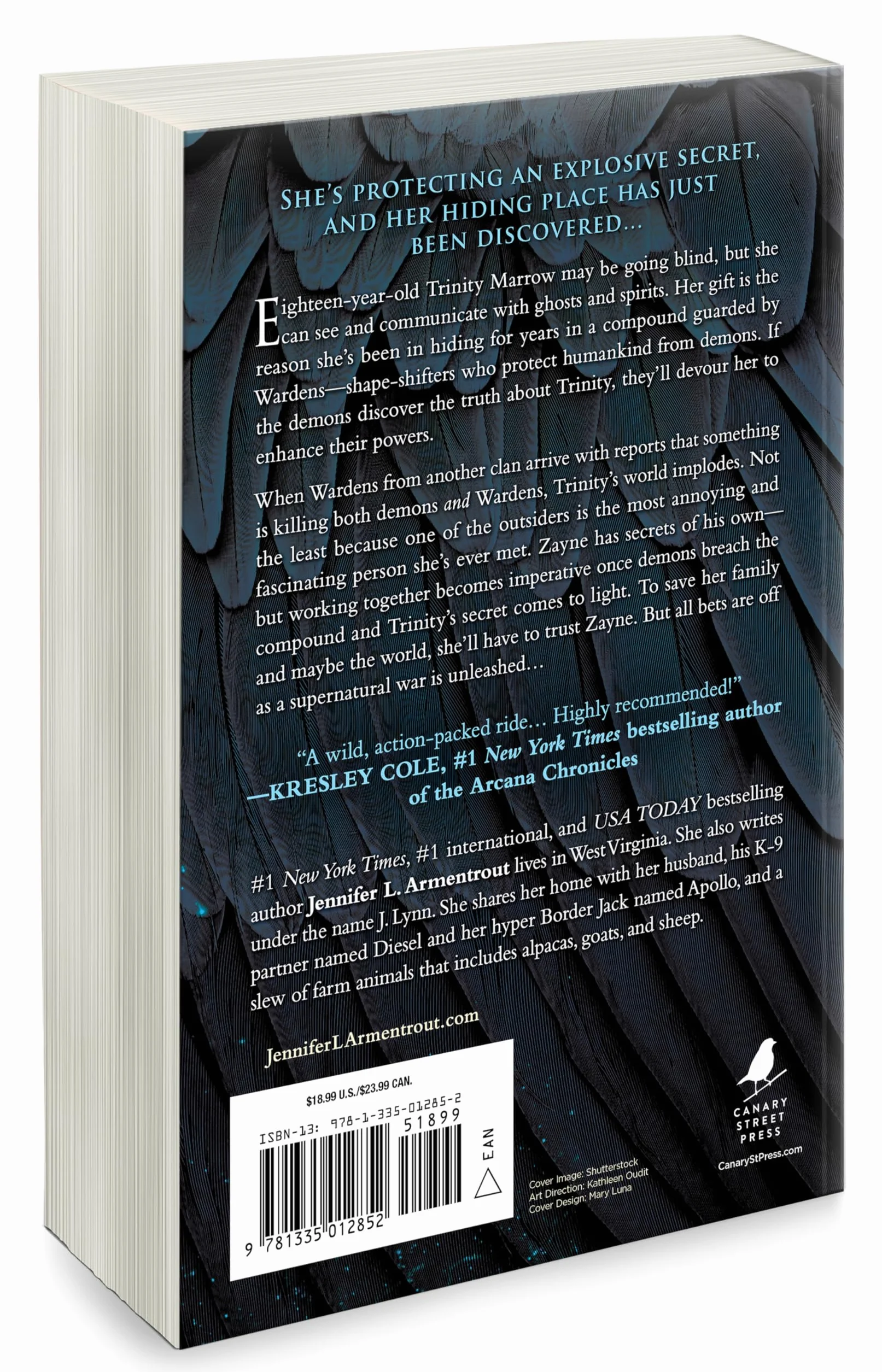 Storm and Fury: A Heartstopping Romantasy with Angels, Demons, Gargoyles and Unbreakable Bonds: 1