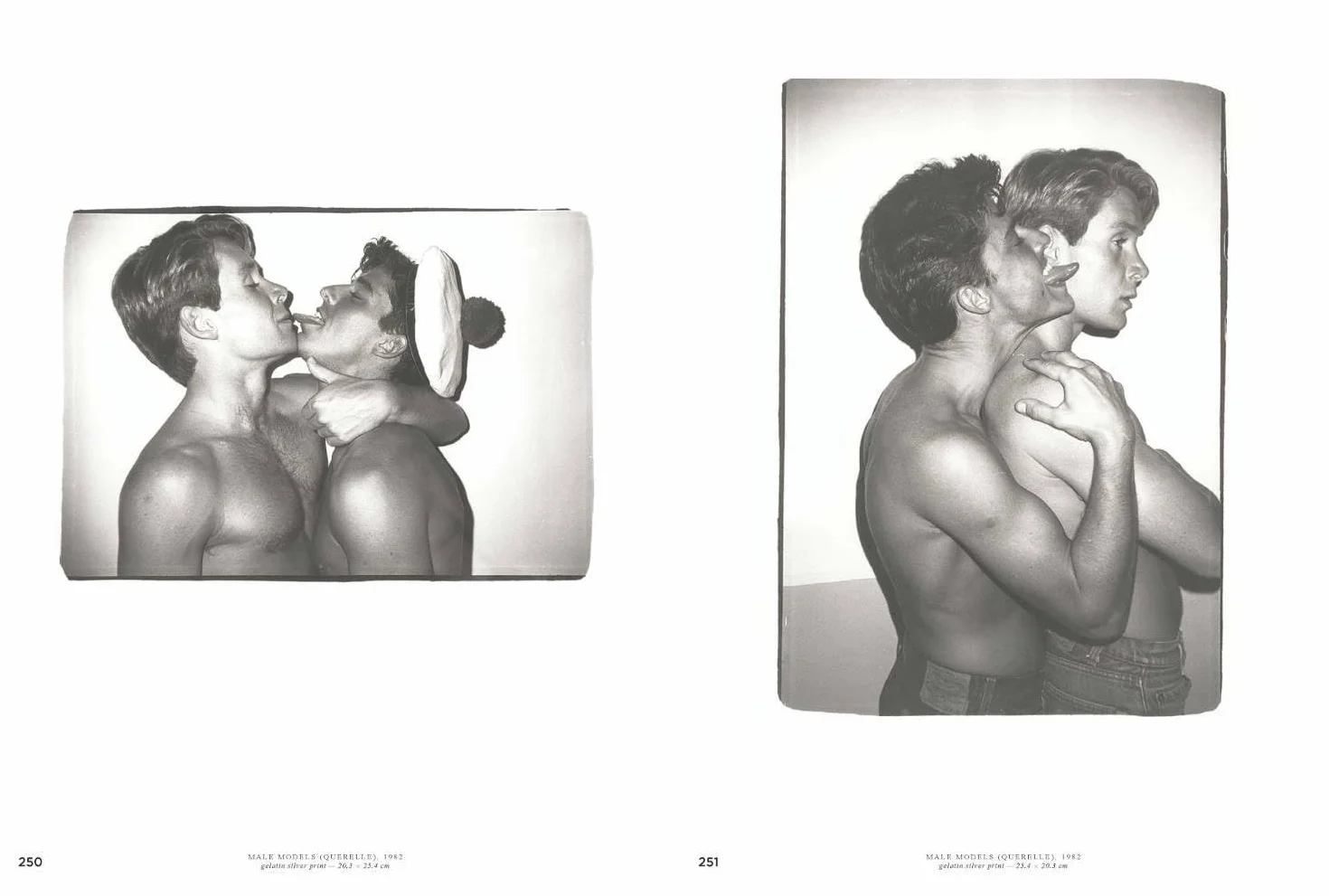 Andy Warhol: Velvet Rage and Beauty