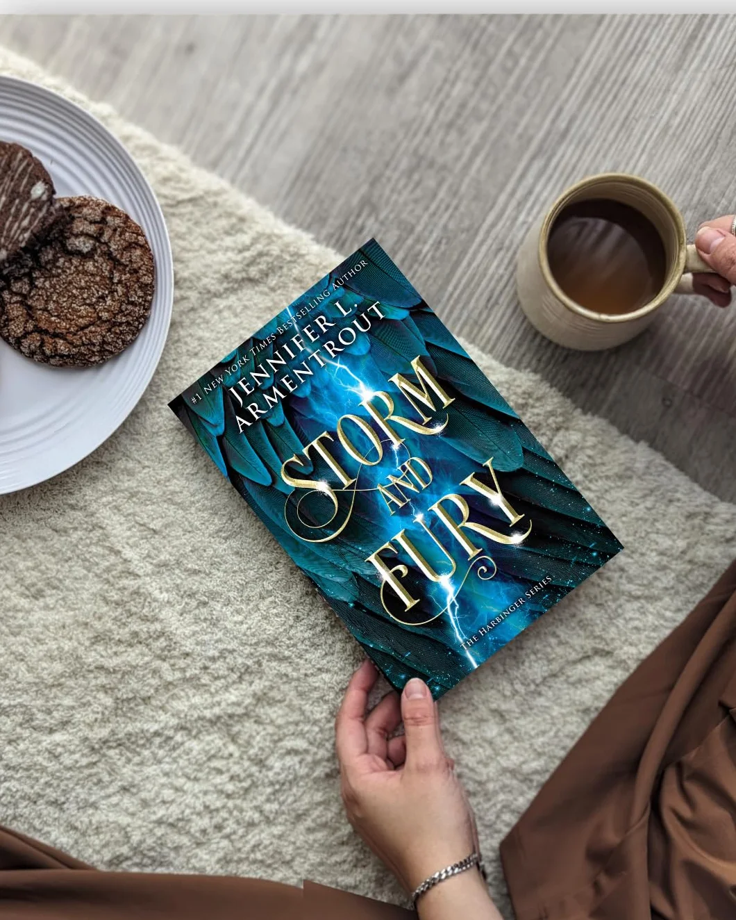 Storm and Fury: A Heartstopping Romantasy with Angels, Demons, Gargoyles and Unbreakable Bonds: 1