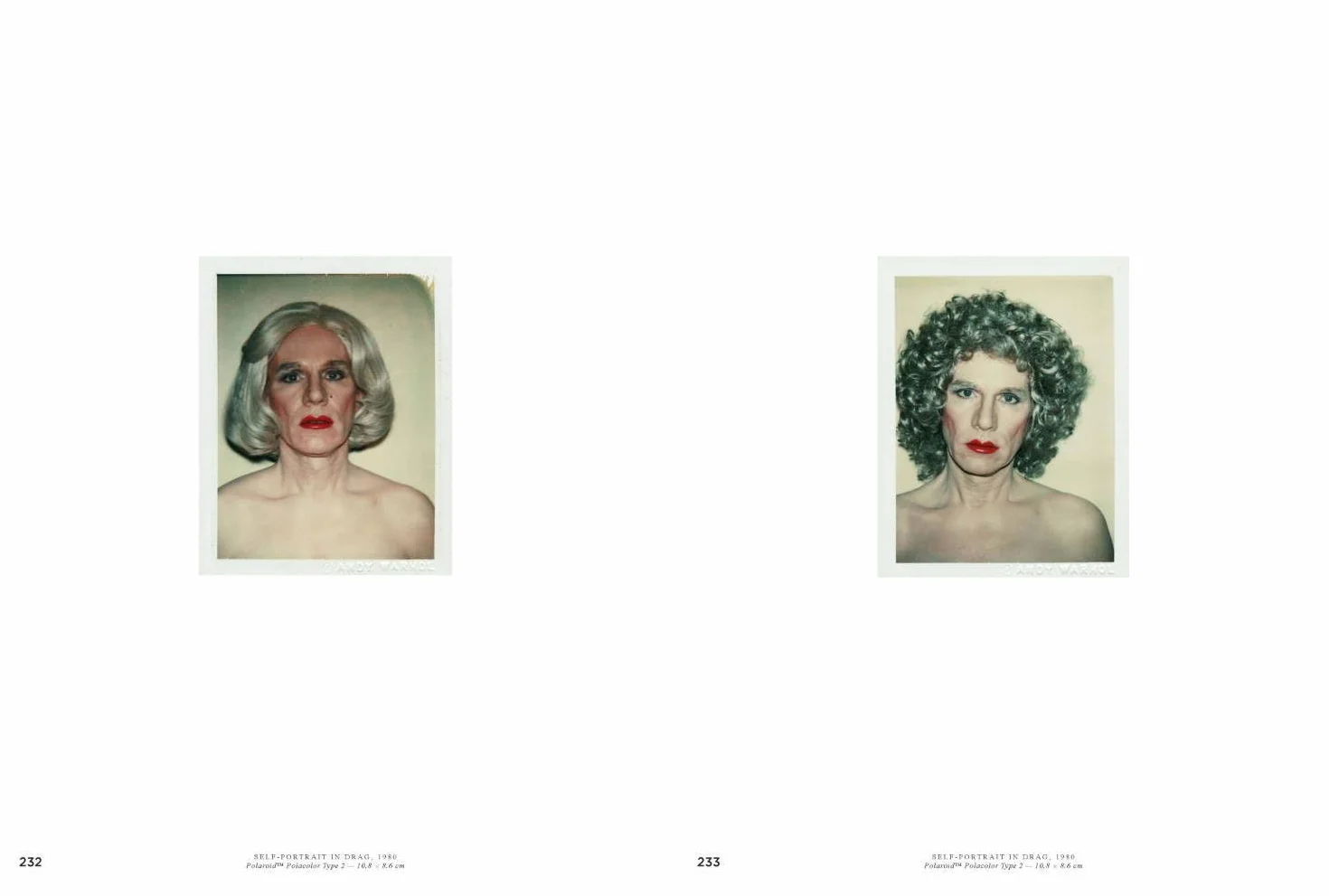 Andy Warhol: Velvet Rage and Beauty