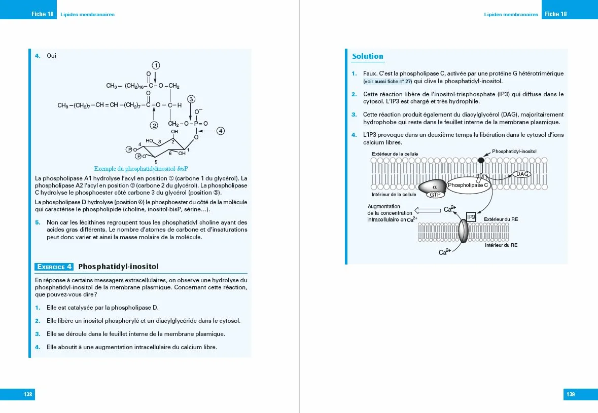 L'essentiel de Biochimie - Licence 1 / 2 / PASS - 2e éd.