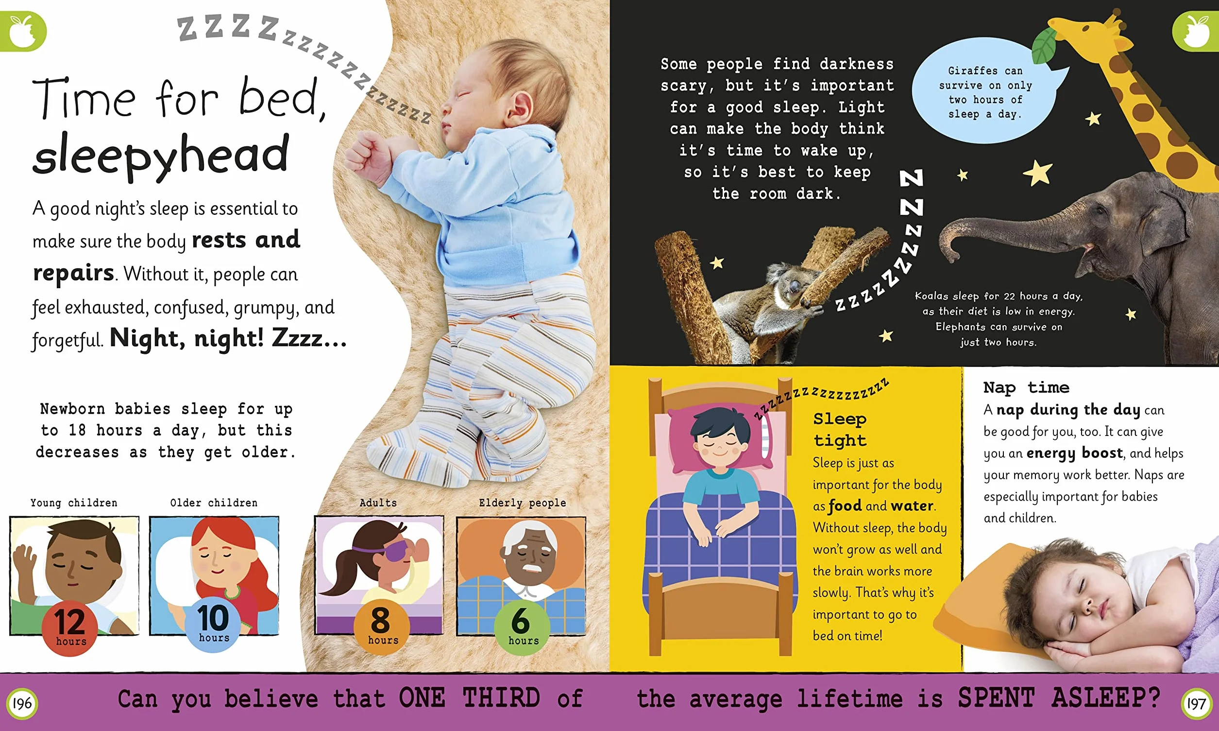 My Very Important Human Body Encyclopedia: For Little Learners Who Want to Know About Their Bodies