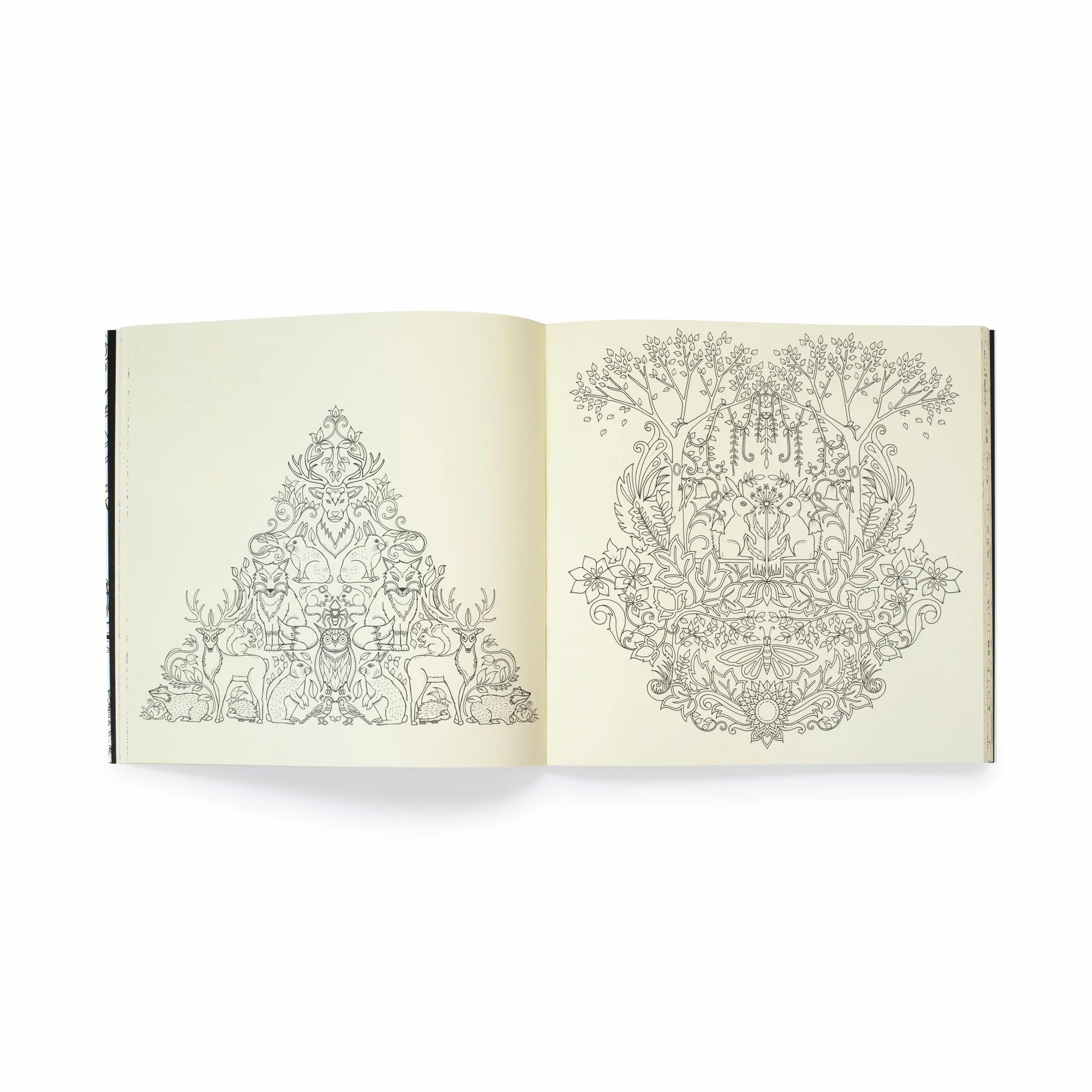 Enchanted Forest /anglais: 10th Anniversary Limited Special Edition