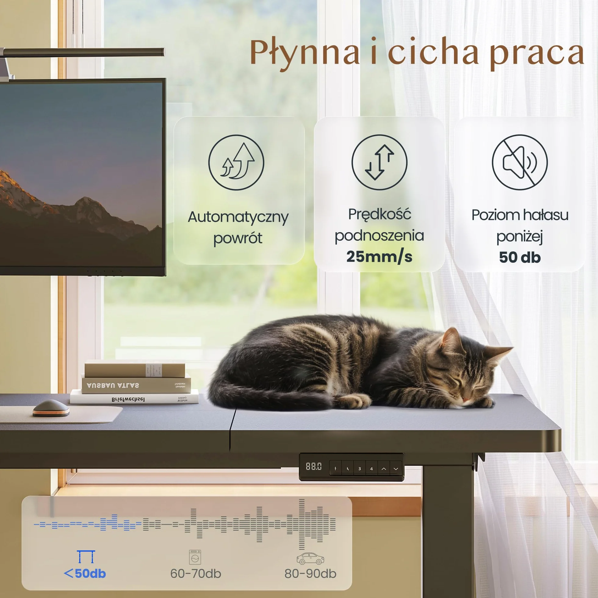 FLEXISPOT QB2 Elektryczne biurko regulowane 2 silniki 200 x 80 cm z regulacją wysokości, siedząco-stojące, z panelem smart 4 pamięci i systemem antykolizyjnym (Czarny + Czarny, 200 x 80 cm)