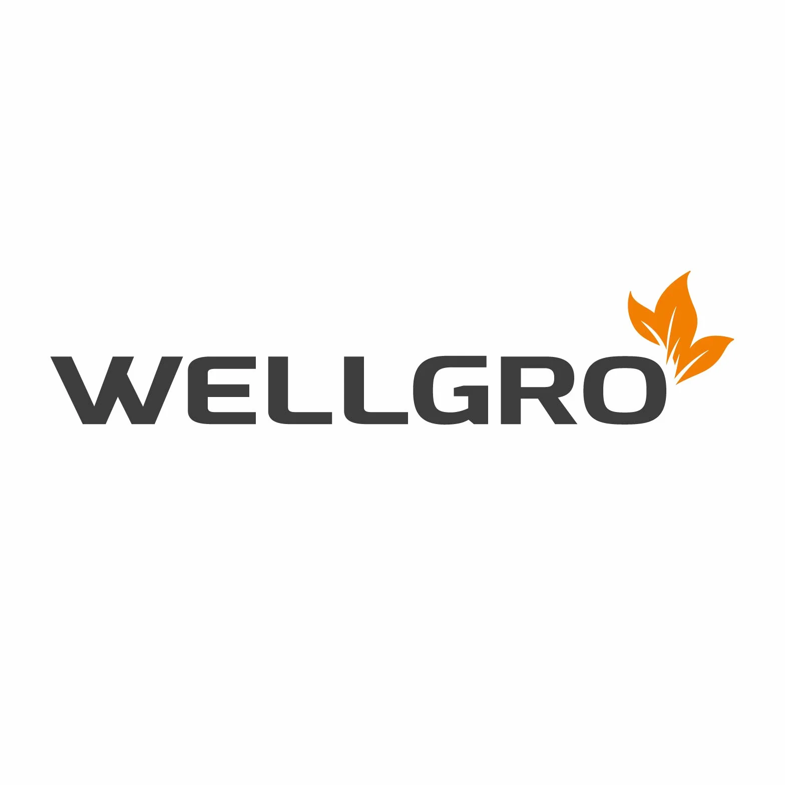 WELLGRO Zestaw 2 koszy do zawieszania z metalu – ok. 41 x 25 x 14 cm (dł. x szer. x wys.) – stwórz dodatkowe miejsce – kolor biały